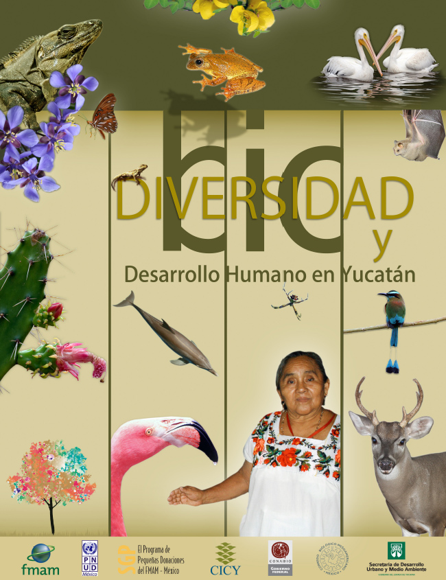 Portada de Biodiversidad y desarrollo humano en Yucatán 