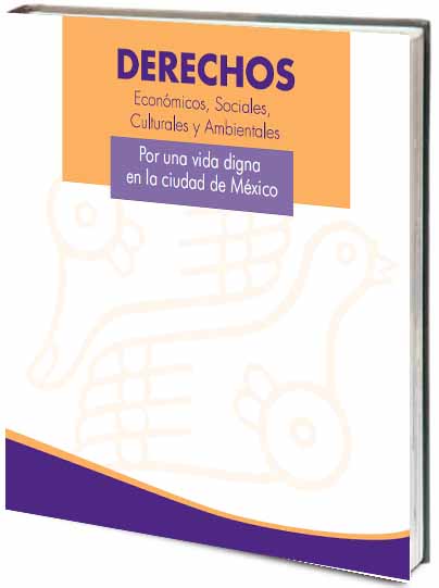 Portada de Derechos económicos, sociales, culturales y ambientales.