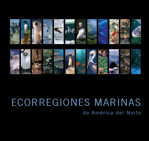 Portada de Ecorregiones marinas 