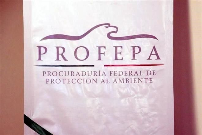 Portada de Memorias de la PROFEPA