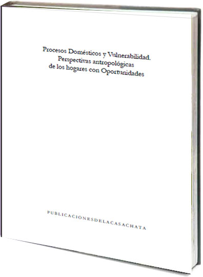 Portada de Procesos domésticos y vulnerabilidad