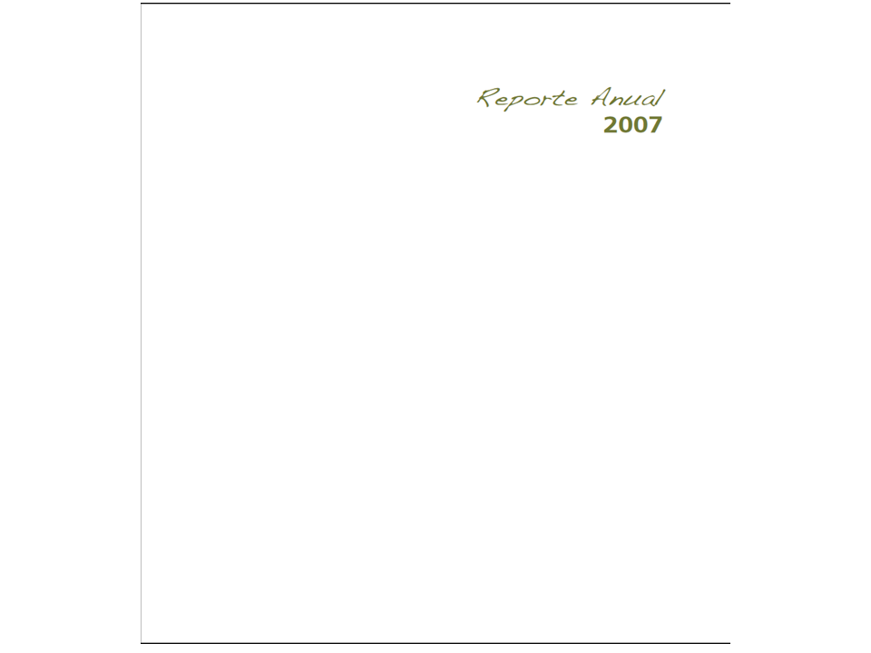 Portada de Reporte anual 2007