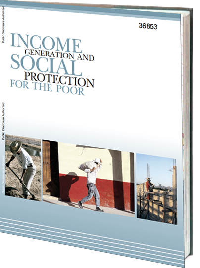 Portada de Income generation social protection for the poor 