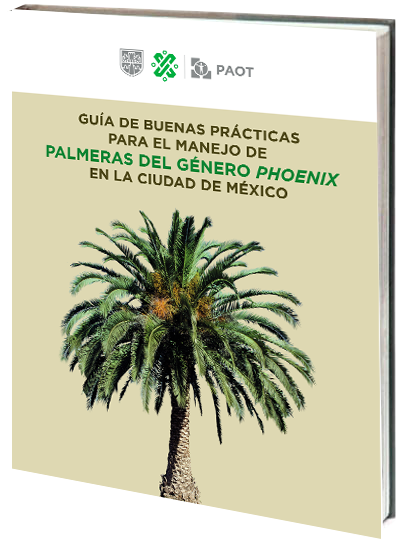 Portada de Guía de buenas prácticas para el manejo de palmeras del género Phoenix en la Ciudad de México