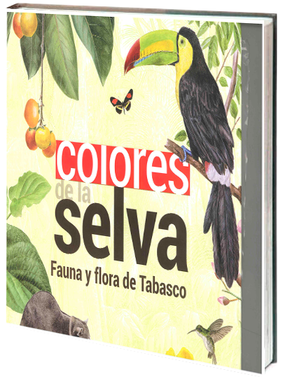 Portada de Colores de la selva 