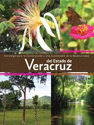 Portada de Estrategia para la conservación y el uso sustentable de la biodiversidad del estado de Veracruz 